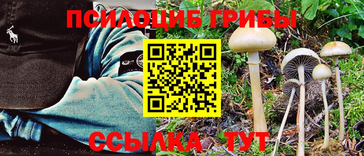 купить  цена  Вход с VPN  Псилоцибиновые грибы MAGIC MUSHROOMS  Саров  Галлюциногенные грибы GOLDEN TEACHER 